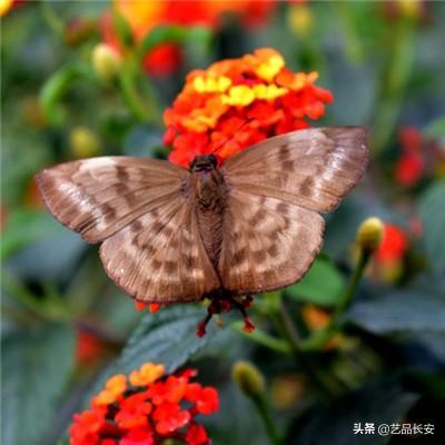 统一智慧流体“安安”为工业巨轮...